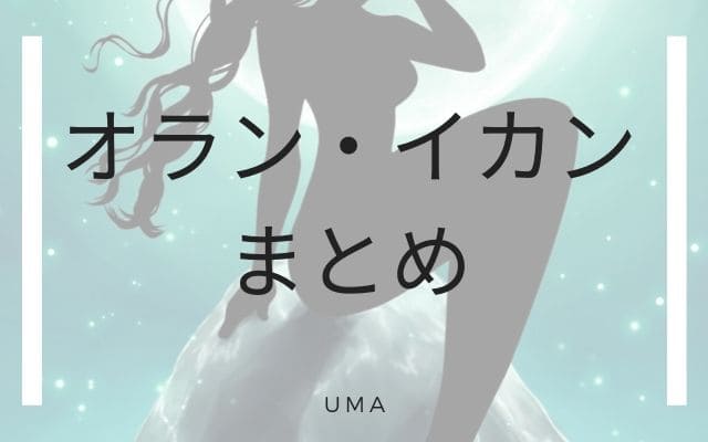 まとめ:　オラン・イカンはこんなUMA