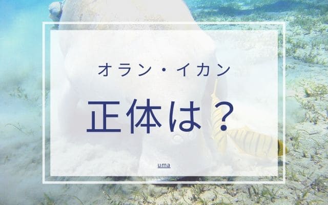 オラン・イカンの正体って？