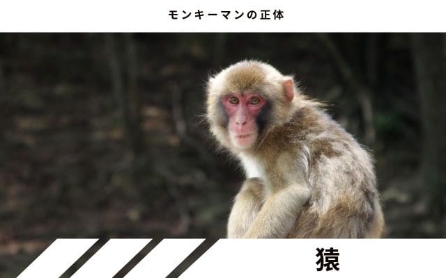 未知の類人猿・誤認説