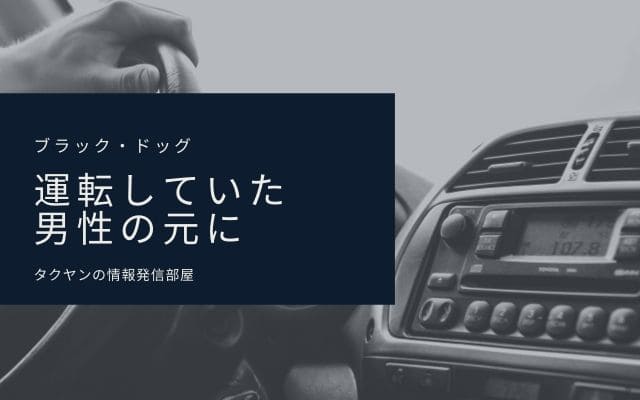 車を運転していた男性の元に現れる