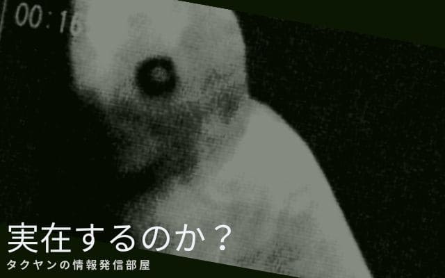 ニンゲンは本当に実在するのか？