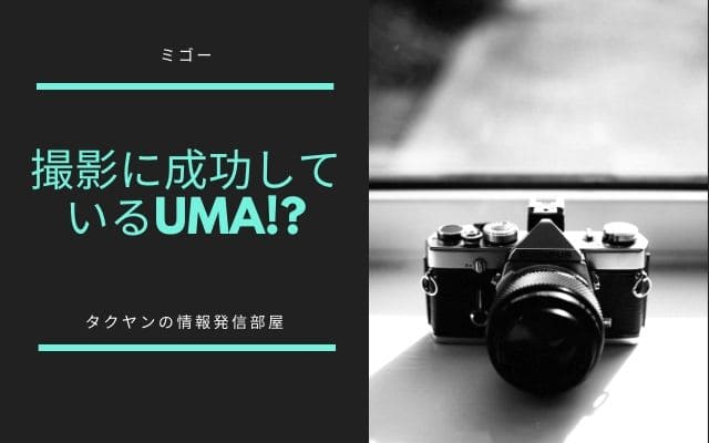 ミゴーは撮影に成功しているUMA！？