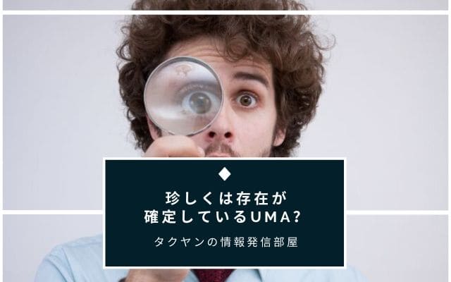 モンゴリアン・デス・ワームは珍しく存在は確定しているUMA？