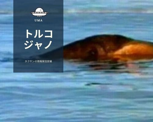 トルコのヴァン湖に生息するジャノとは？