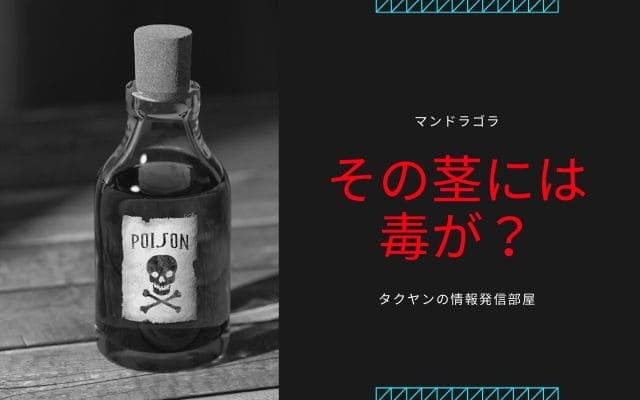 その根っこを掴んだものは死ぬ？どうやって触ればいいのか