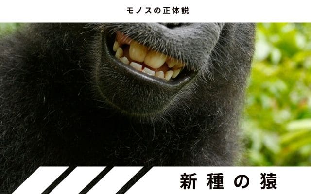 未知なる・突然変異の類人猿説