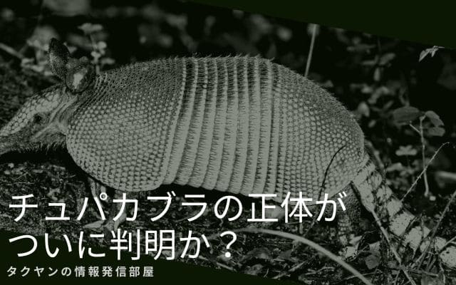 その正体がついに判明!?アルマジロ？