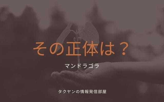 マンドラゴラの正体とは？