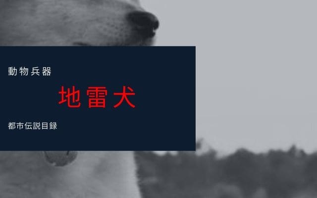 動物兵器1:　地雷犬